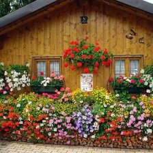 Схема вышивки «№750022»