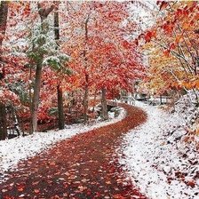 Схема вышивки «встреча зимы и осени»