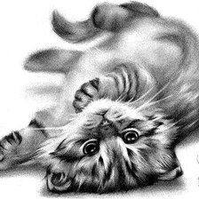 Схема вышивки «Котенок»