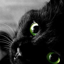 Схема вышивки «Кошка»