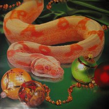 Схема вышивки «змея»