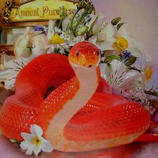 Схема вышивки «змея»