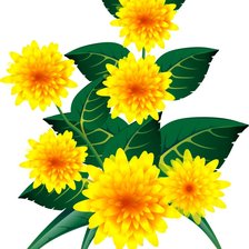 Схема вышивки «одуванчики»