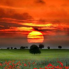 Схема вышивки «№750892»