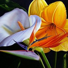 Схема вышивки «№750914»