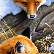 Схема вышивки «Лиса»