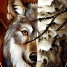 Схема вышивки «Волк»