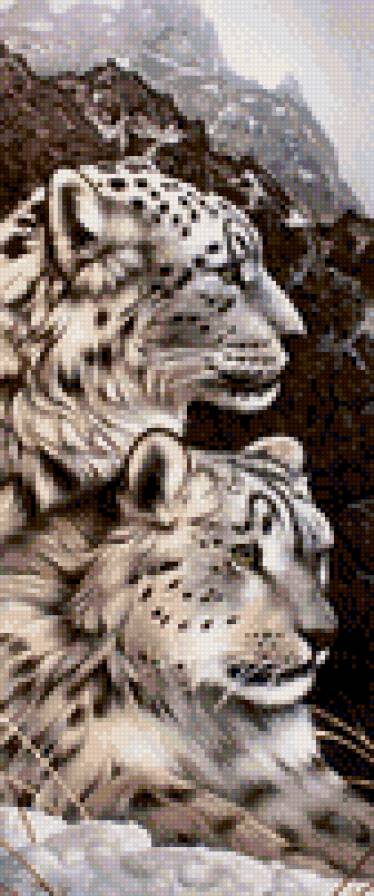 Барс - кошки, зима, барс, животные, звери - предпросмотр