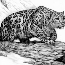 Схема вышивки «леопард»