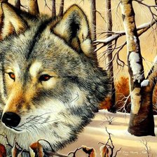 Схема вышивки «Волк»