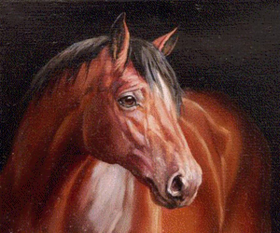 Животные (лошадь1) - животные, лошадь - предпросмотр