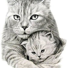 Схема вышивки «Котики»