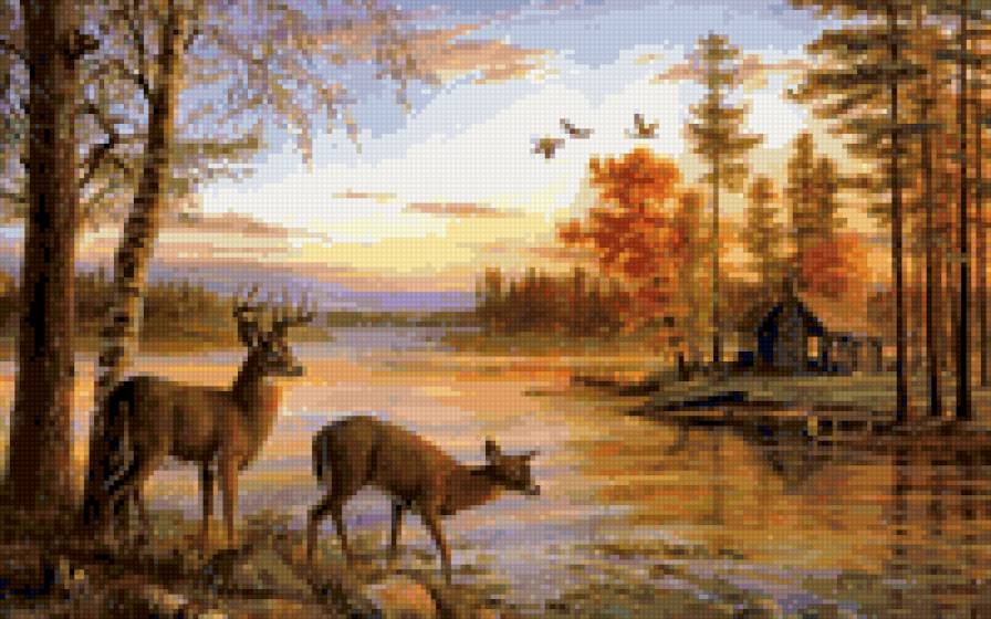 Лесное озеро - предпросмотр