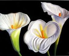 Схема вышивки «№751581»