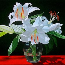 Схема вышивки «№751590»