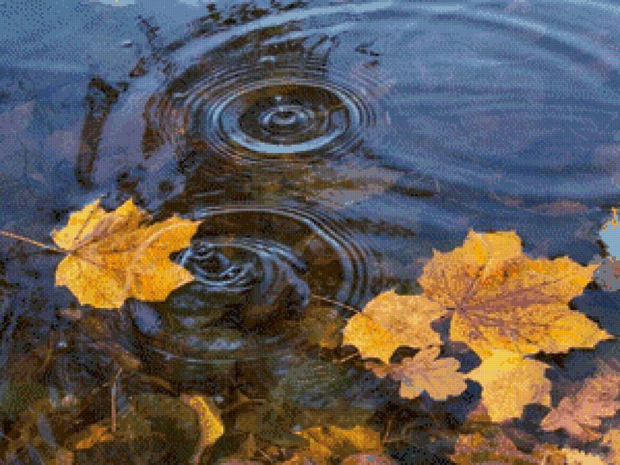 Осень - листья в лужах, осень - предпросмотр