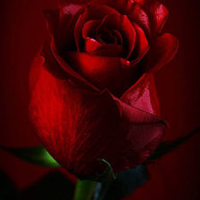 Схема вышивки «№751810»