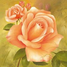 Схема вышивки «Чайная роза»