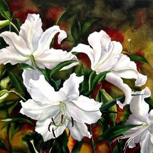Схема вышивки «Белые лилии»