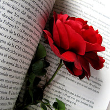 Схема вышивки «роза»