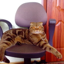 Схема вышивки «стив»