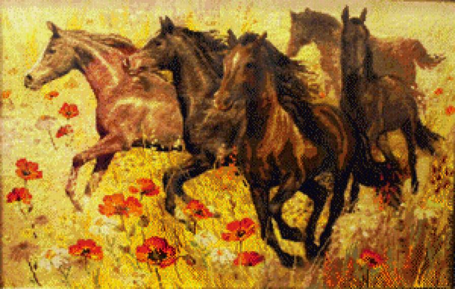 табун лошадей на маковом поле - лошади - предпросмотр