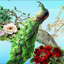 Схема вышивки «павлин»