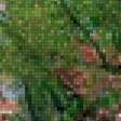 Предпросмотр схемы вышивки «сад» (№752481)