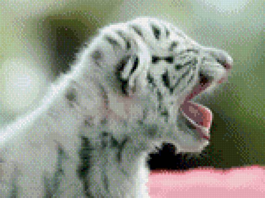 Тигренок - тигр, тигренок - предпросмотр