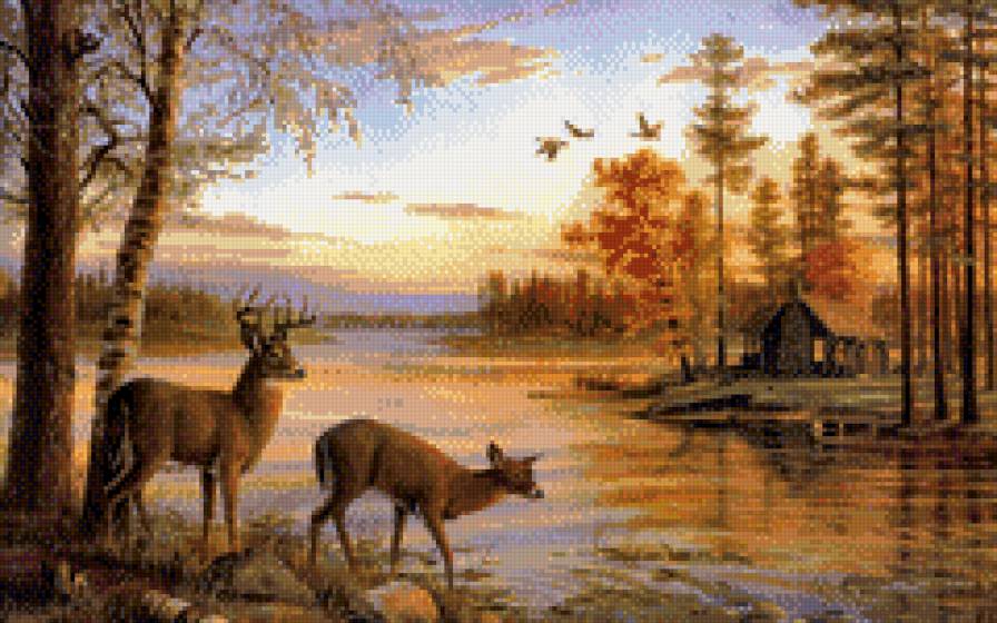 Олени у реки - животные, природа - предпросмотр