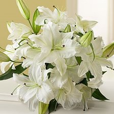 Схема вышивки «Лилии»