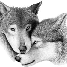 Схема вышивки «верность»