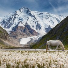 Схема вышивки «горы Тань-шань»