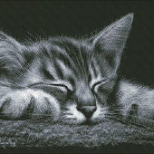 Схема вышивки «№752885»