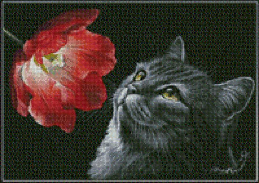 №752887 - предпросмотр