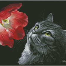 Схема вышивки «№752887»