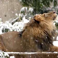 Схема вышивки «№752951»