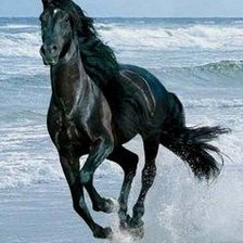 Схема вышивки «Черный конь»