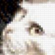 Предпросмотр схемы вышивки «Кошка» (№753001)