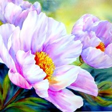 Схема вышивки «Пионы»