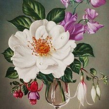 Схема вышивки «Букет цветов»