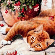 Схема вышивки «Рыжий кот»