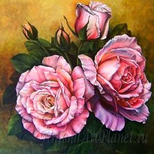 Розовая роза