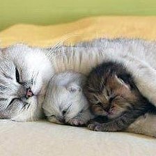 Схема вышивки «Семья»