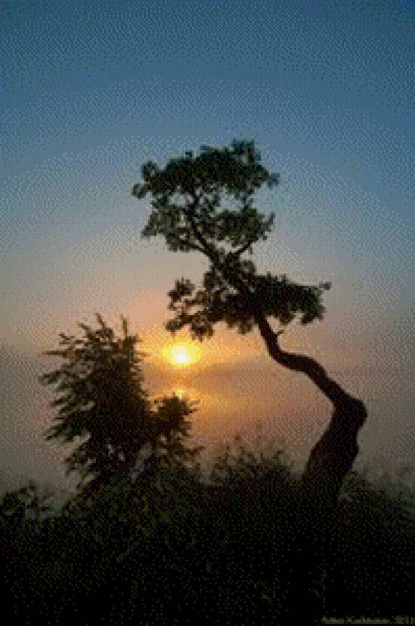 закат - закат, лето, природа - предпросмотр