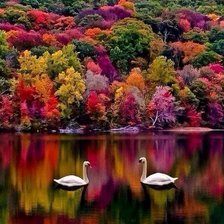 Схема вышивки «Лебеди»