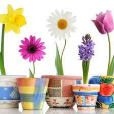 Схема вышивки «8 Марта»