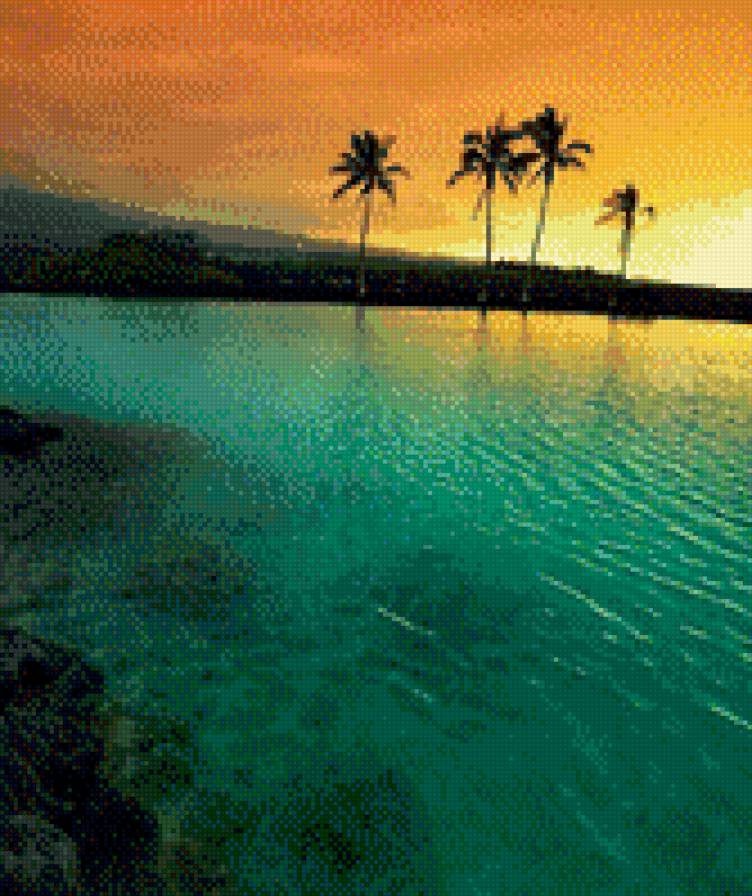 берег моря - закат, пейзаж, океан, вода, берег, пальмы - предпросмотр