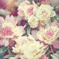 Схема вышивки «цветы»