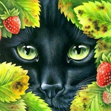 Схема вышивки «Кошка»